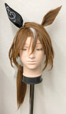 【中古】ウマ娘　制服　半袖 サウンズオブアース ウィッグ付き
