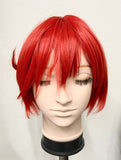 【中古】はたらく細胞　赤血球　ウィッグ付き　L