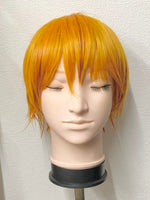 【中古】フルーツバスケット　草摩夾　ウィッグ付き