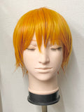 【中古】フルーツバスケット　草摩夾　ウィッグ付き