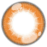 パピーラワンデーシロップ　マンゴーシロップ