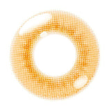 エティア ジュレワンデー オレンジジュレ